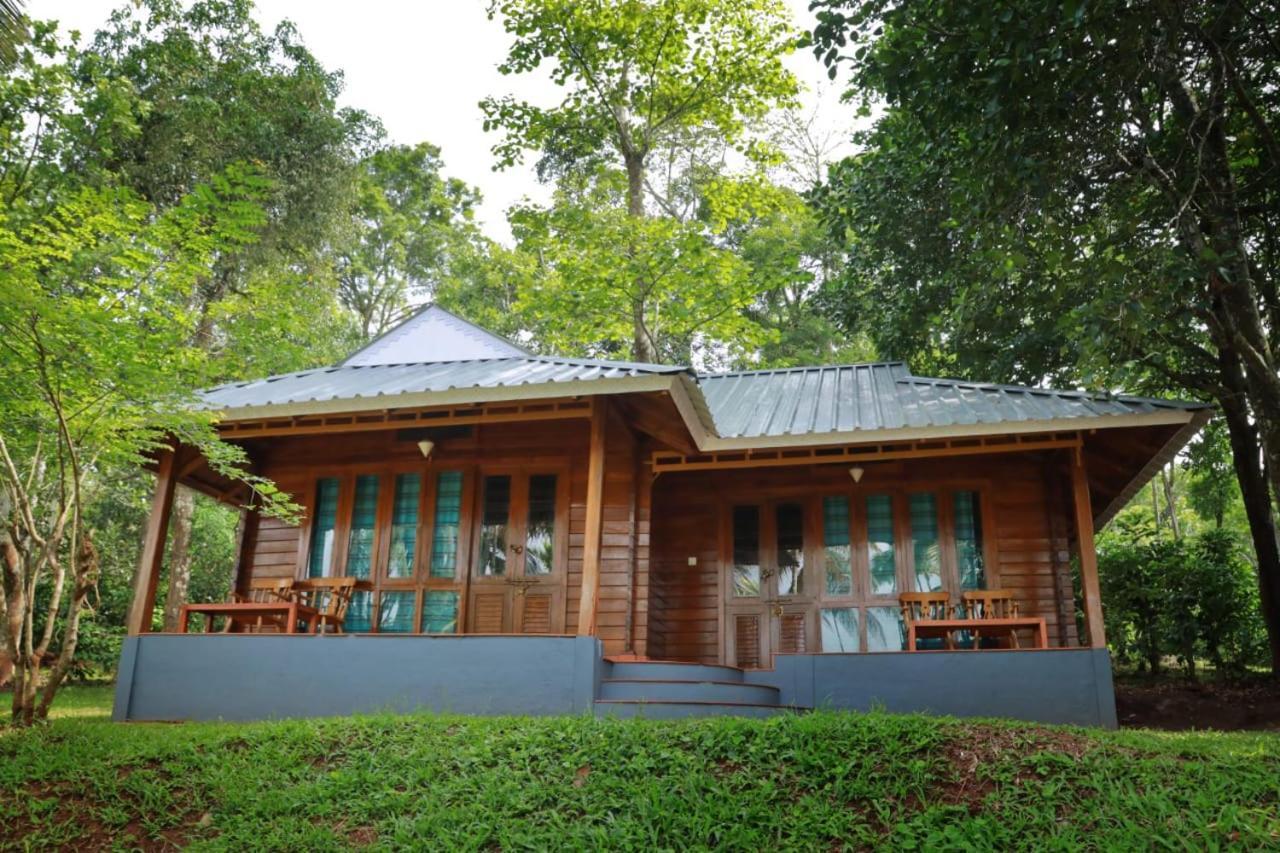 Royal Wooden Villa マナンタバディー エクステリア 写真